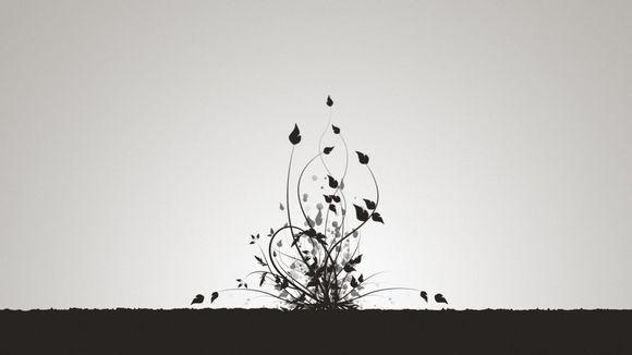 守望先锋战队皮肤一览